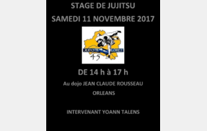 Stage départemental Jujitsu 
